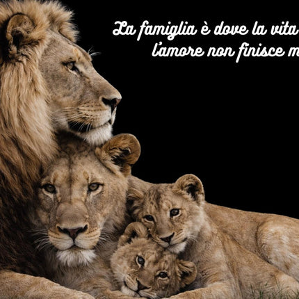 IL BRANCO ETERNO - L'AMORE CHE NON FINISCE MAI